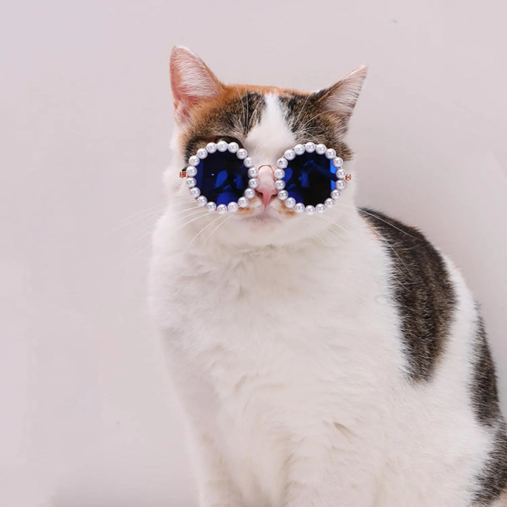 Pearl-rimmed round sunglasses for pets in blue, black, coffee, orange and purple colours