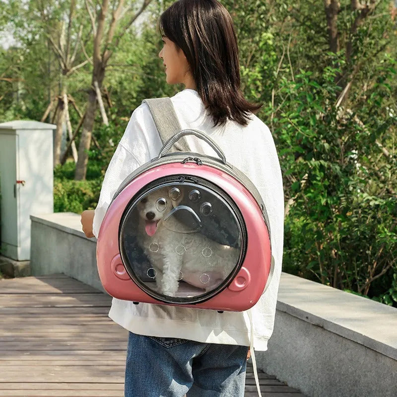 Transparent space capsule cat carrier backpack in PC canvas with metallic front shell