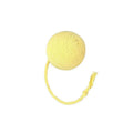 Colourful cat toy ball with an attached rope and an internal bell, shown in green, pink, purple and yellow.