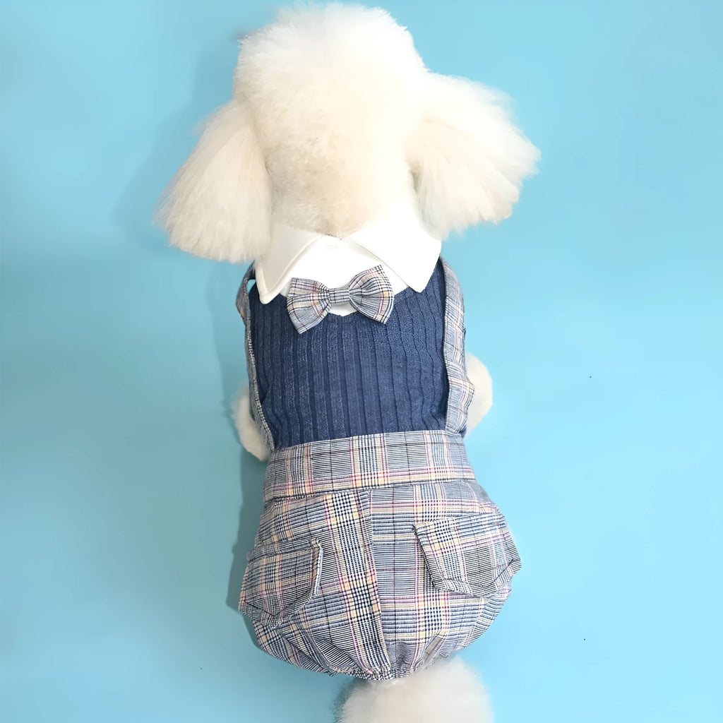 Orange and dark blue cotton dog shirt for small dogs in sizes S to 2XL