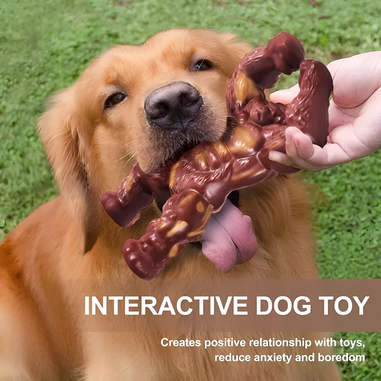 Scarlet nylon dog chew toy with beef flavour for molar nibbling, measuring 10.7x17.2x5cm