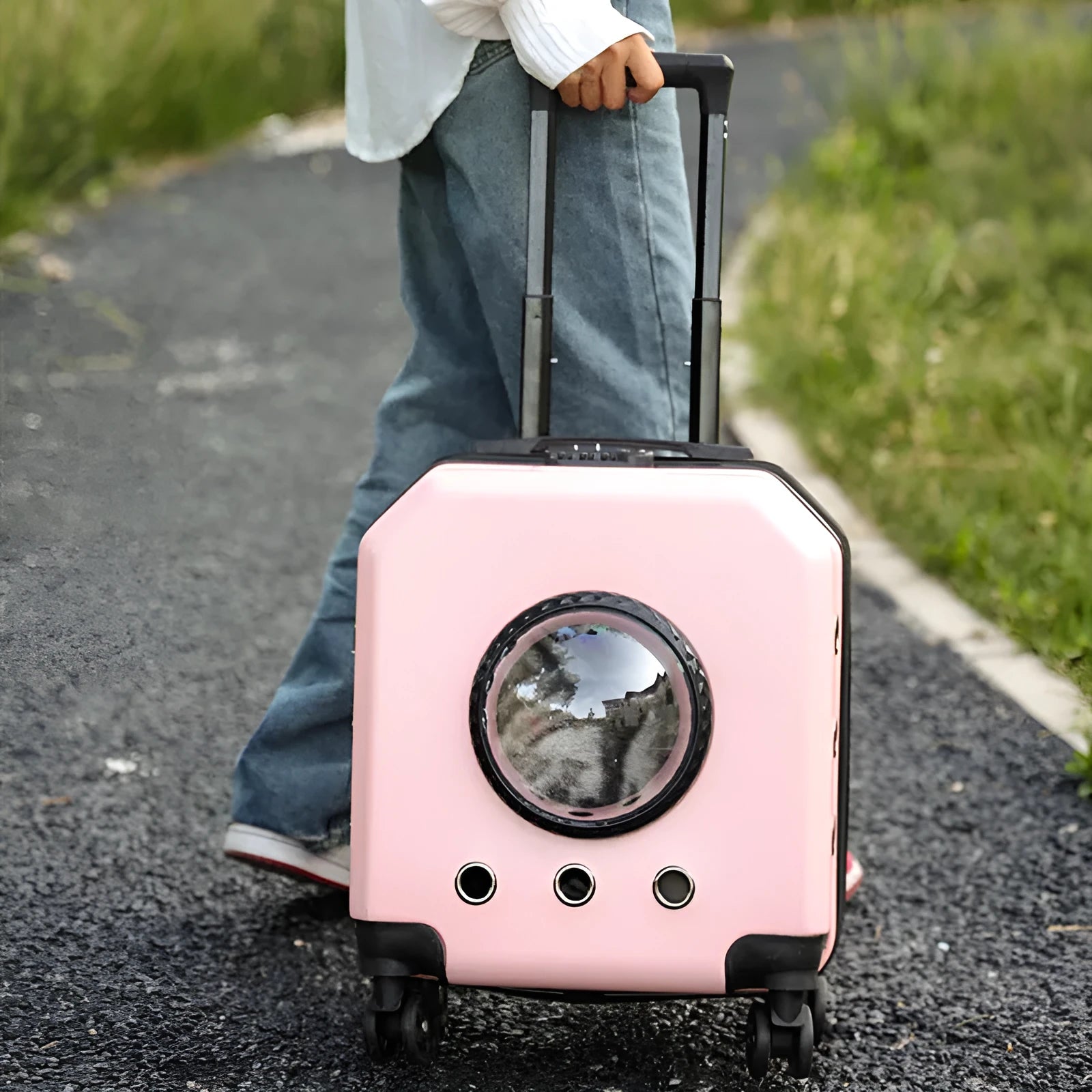 Hard-shell PVC pet trolley case for cats with wheels, shown in one of four colours: orange, pink, white, or burgundy.
