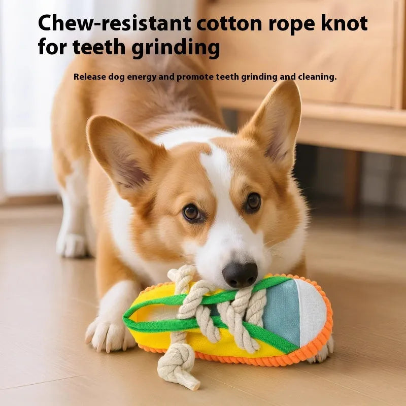 Interactive plastic dog chew toy with squeaker sound mechanism in three colour options