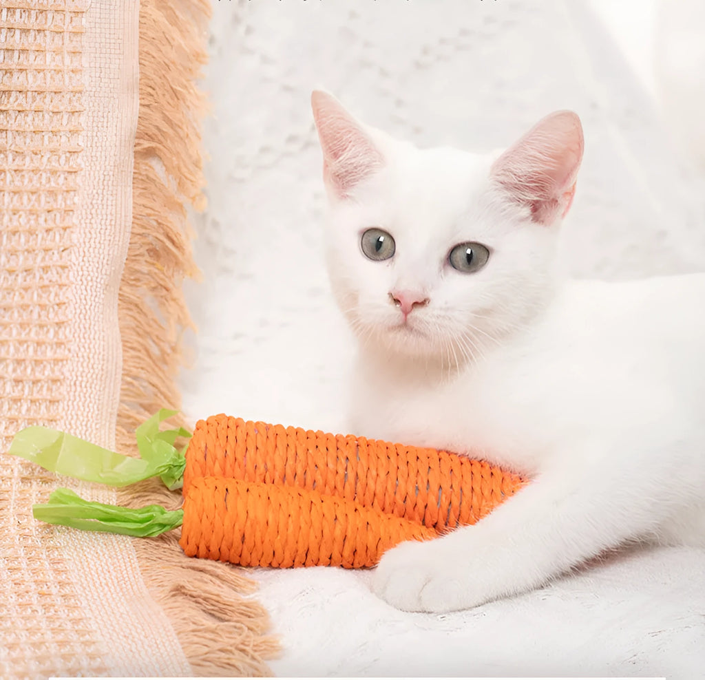 Set of cat toys including carrot shapes, crinkly paper balls, ringing stones, and dental grinding sticks in two sizes.