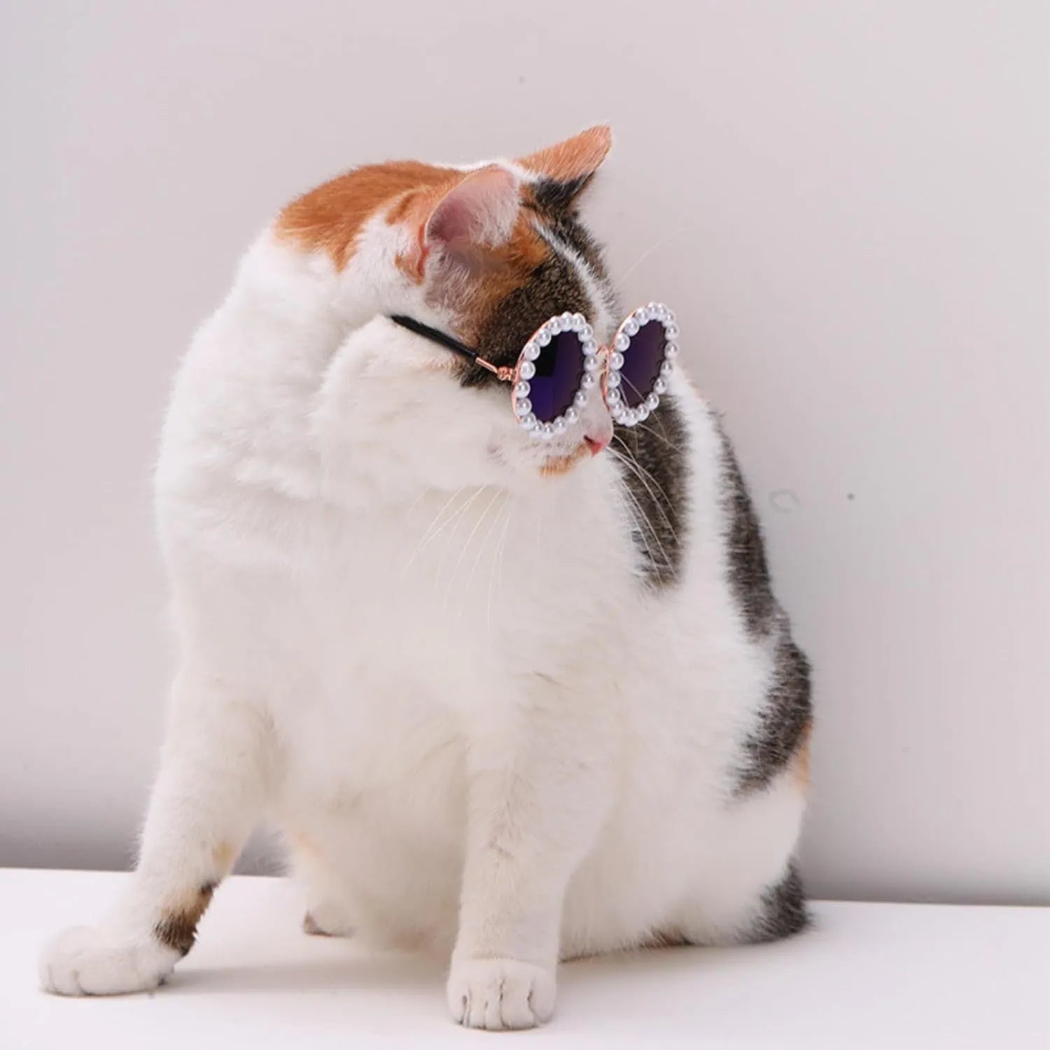 Pearl-rimmed round sunglasses for pets in blue, black, coffee, orange and purple colours