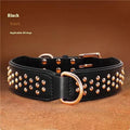 Leather dog collar with rivet construction in black colour showing anti-bite design