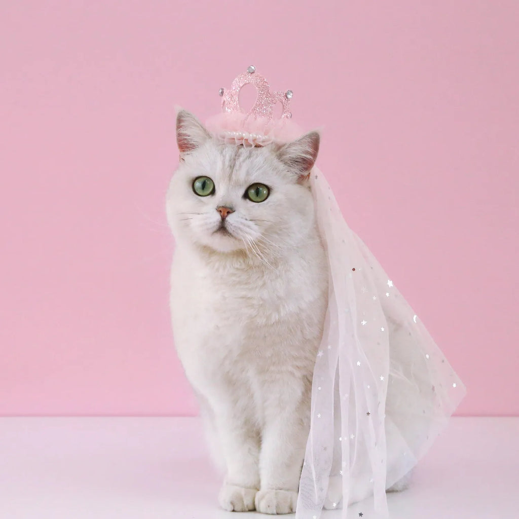 Pet cat wearing princess crown headdress with veil accessory for wedding birthday carnival costume