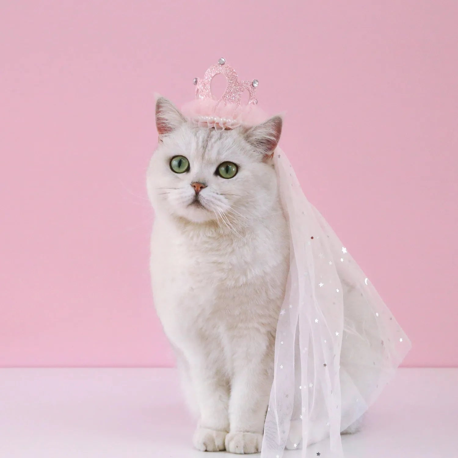Pet cat wearing princess crown headdress with veil accessory for wedding birthday carnival costume