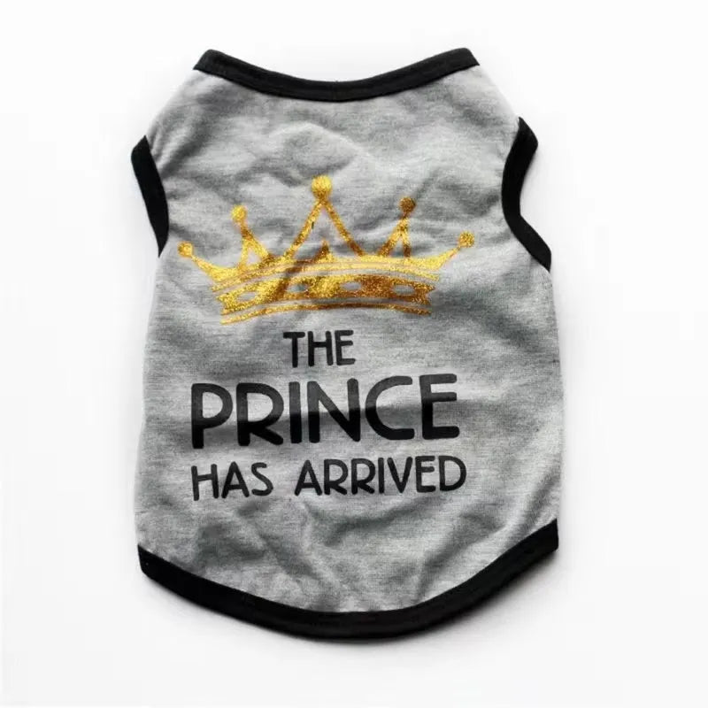 A casual style cotton vest for a puppy, shown in one of the available colours such as blue, grey, pink, or black.