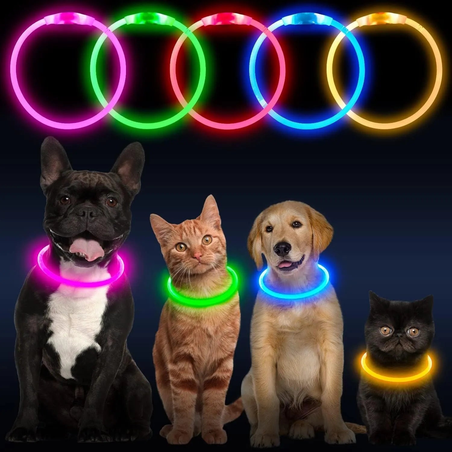 USB rechargeable LED dog collar with glowing light in blue colour, adjustable 70cm length