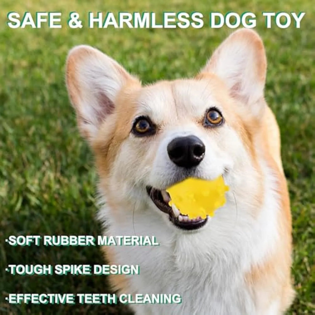 Bright blue, green, pink, and yellow spiky dog toy balls with paw print dimples, shown next to a small dog.