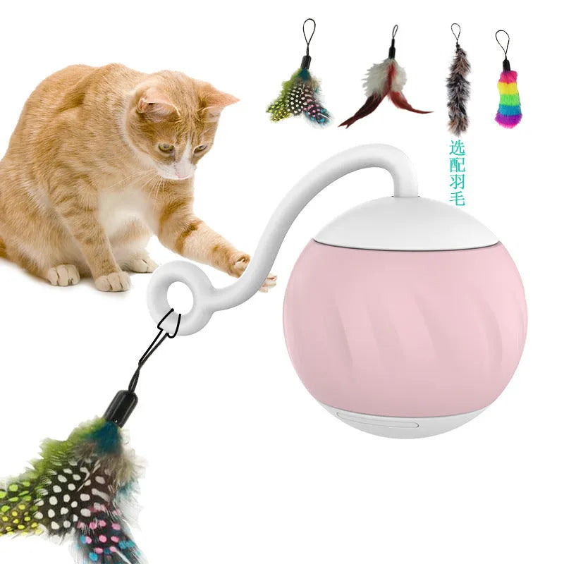 Electric cat toy ball with LED lights in watermelon or pumpkin design