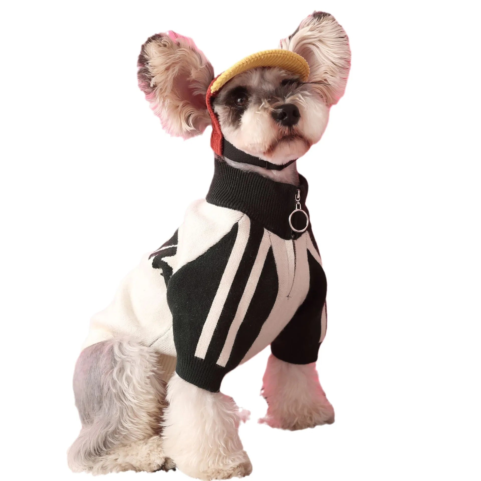 Red wool dog sports sweater cardigan shown on medium-sized dog with casual fit