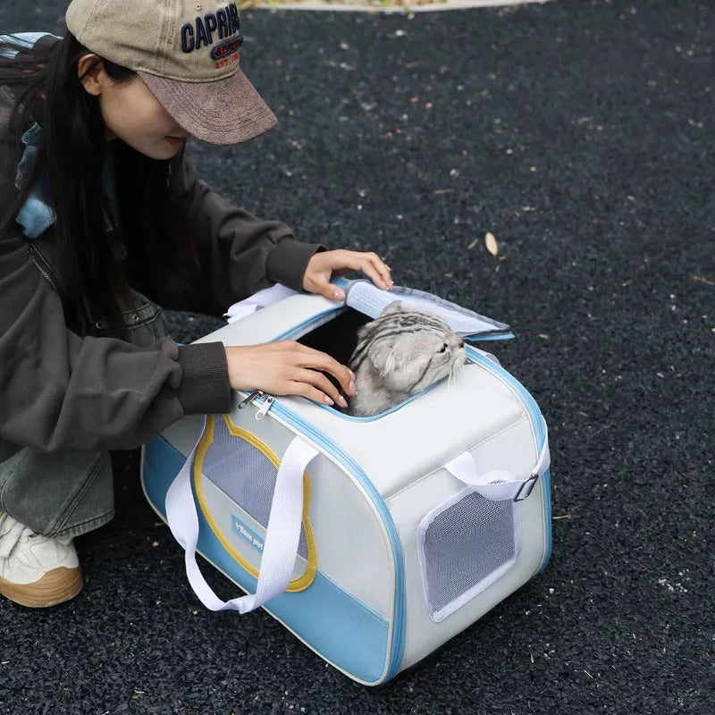 Blue outdoor portable foldable cat backpack with mesh panels, shown with a cat inside.
