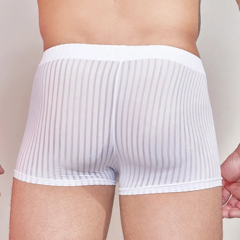 Men's striped nylon underwear in black, shown flat, highlighting thin fabric and free-size fit.