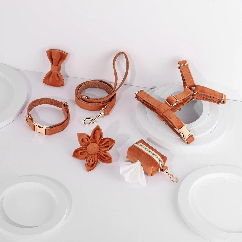 Velvet pet collar set with chest strap, bow tie, and flower accessory in multiple colour options