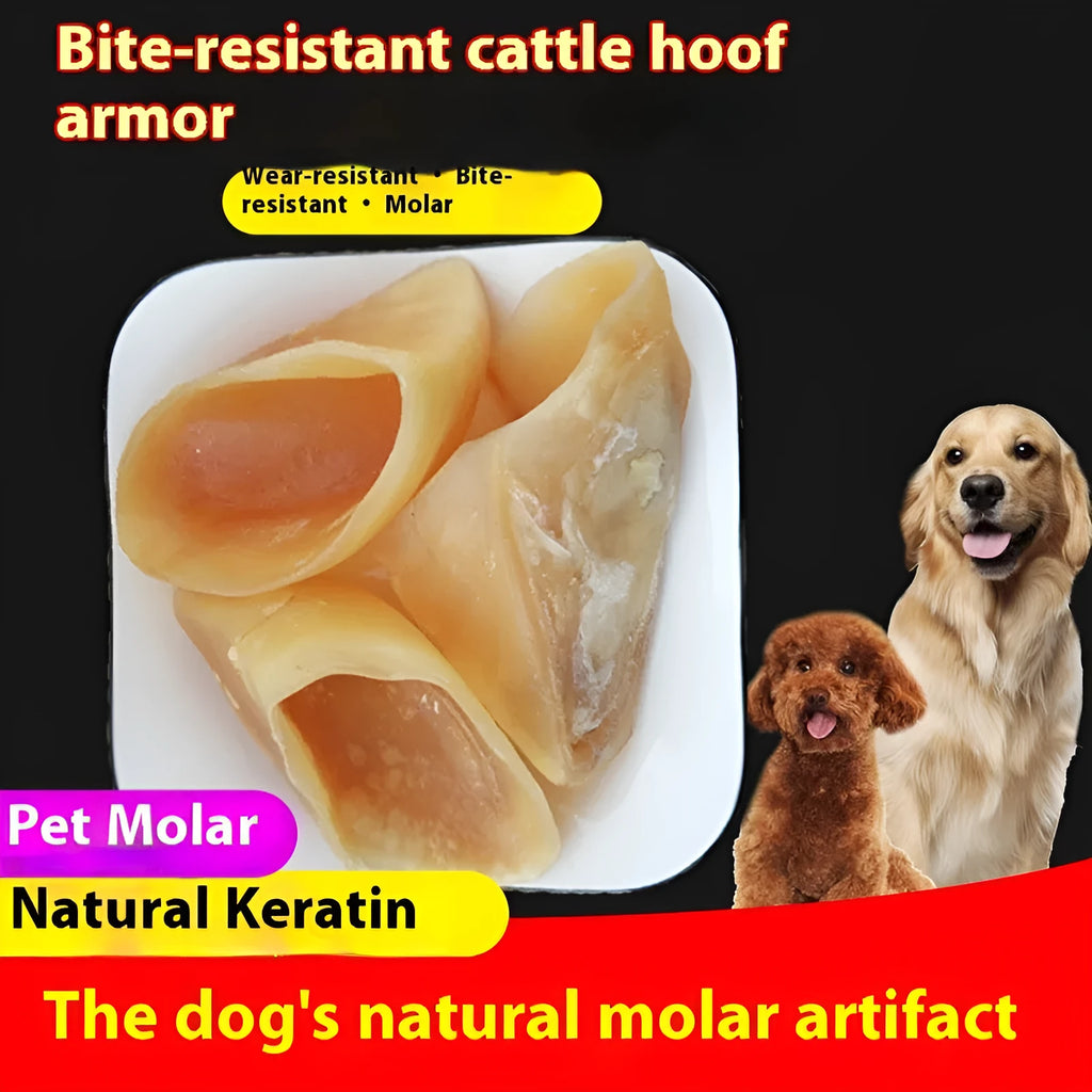Natural cowhide dog chew treat in cow hoof shell colour showing small and large size options