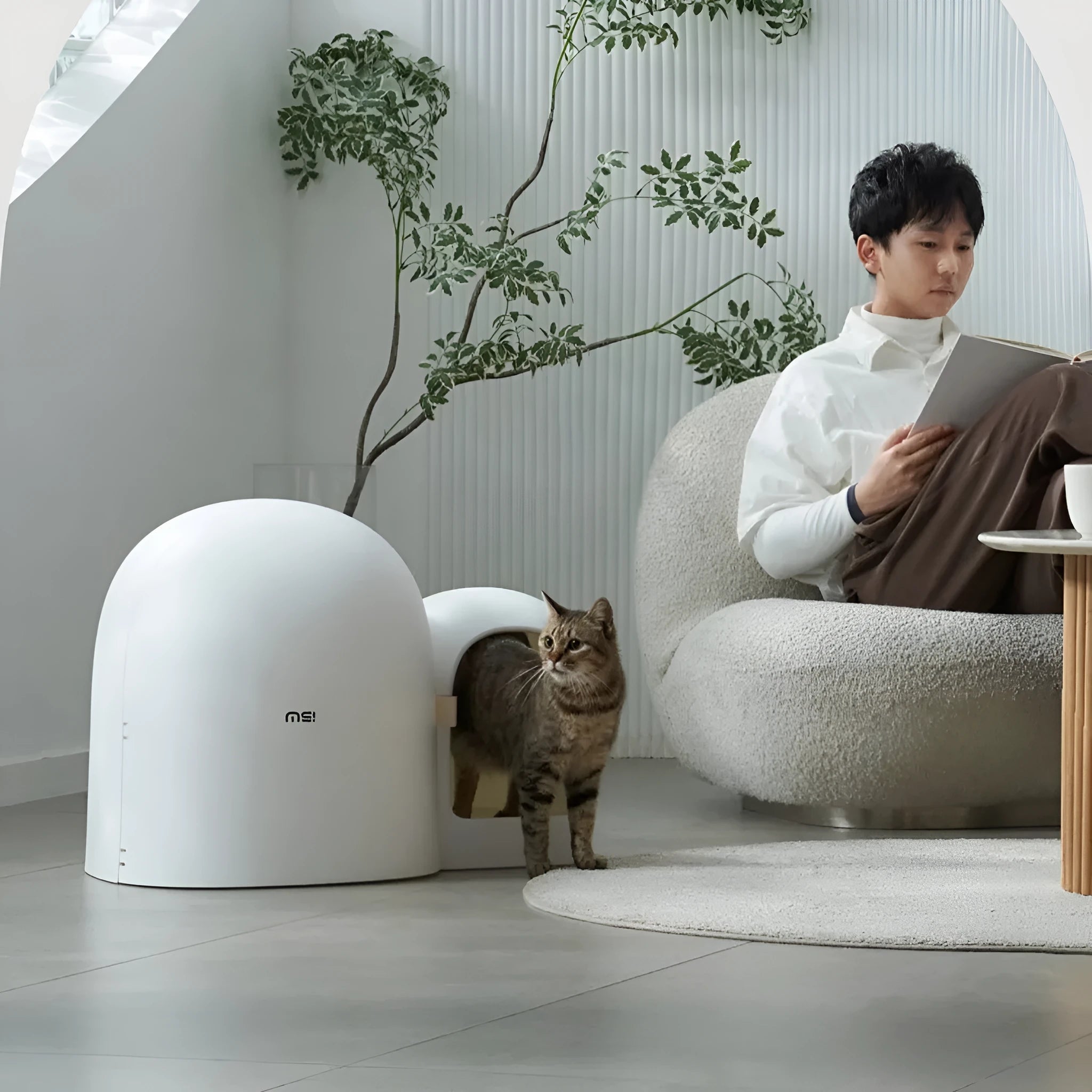 Large enclosed cat litter box in Aurora White, Moss Green, or Milk Tea Colour with dimensions 67.7cm x 49cm x 50cm