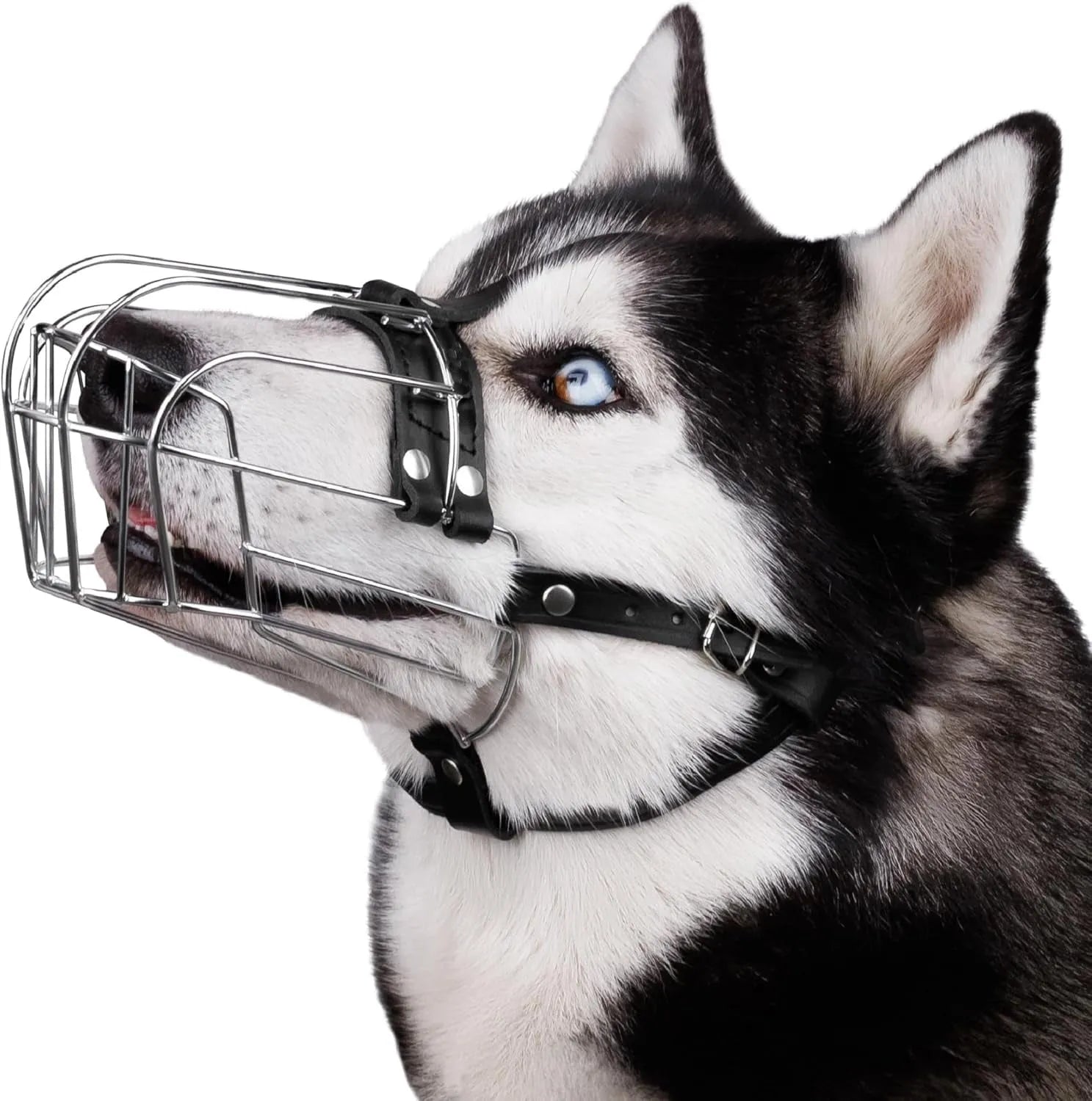 Black metal dog muzzle designed for Golden Retrievers and German Shepherds with buckle strap.