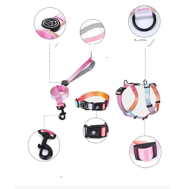 Gradient colour pet chest and back harness for dogs in one of four pattern options.