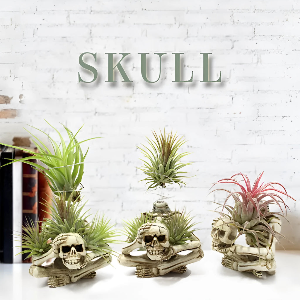 Gothic resin Tillandsia bracket with skull decoration for soilless air plants measuring 7x8x12.5cm