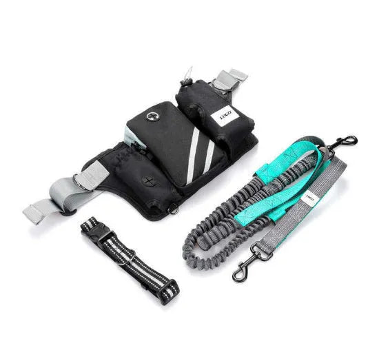 Black nylon outdoor dog walking waist bag and leash set for hands-free pet training