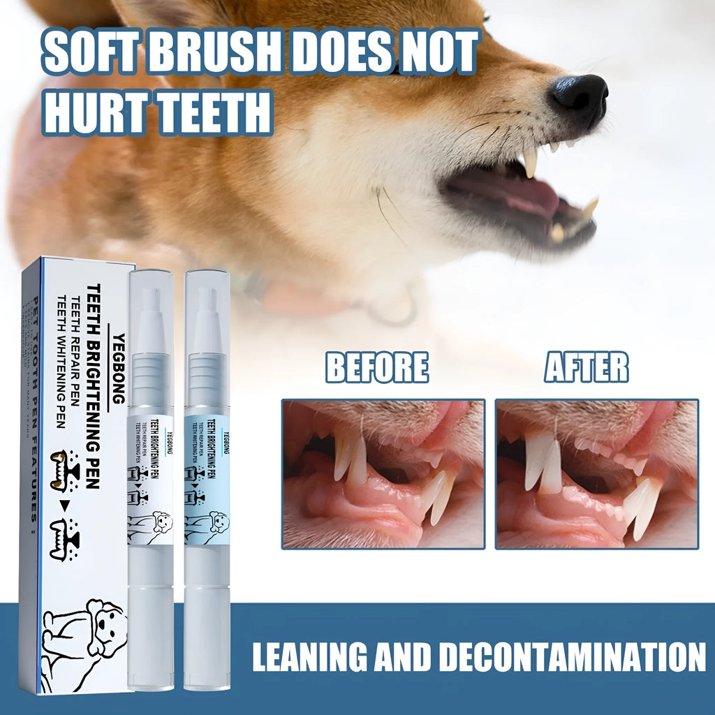 White pet teeth whitening pen kit with two 3ml applicators and dental brushes for dog and cat dental care