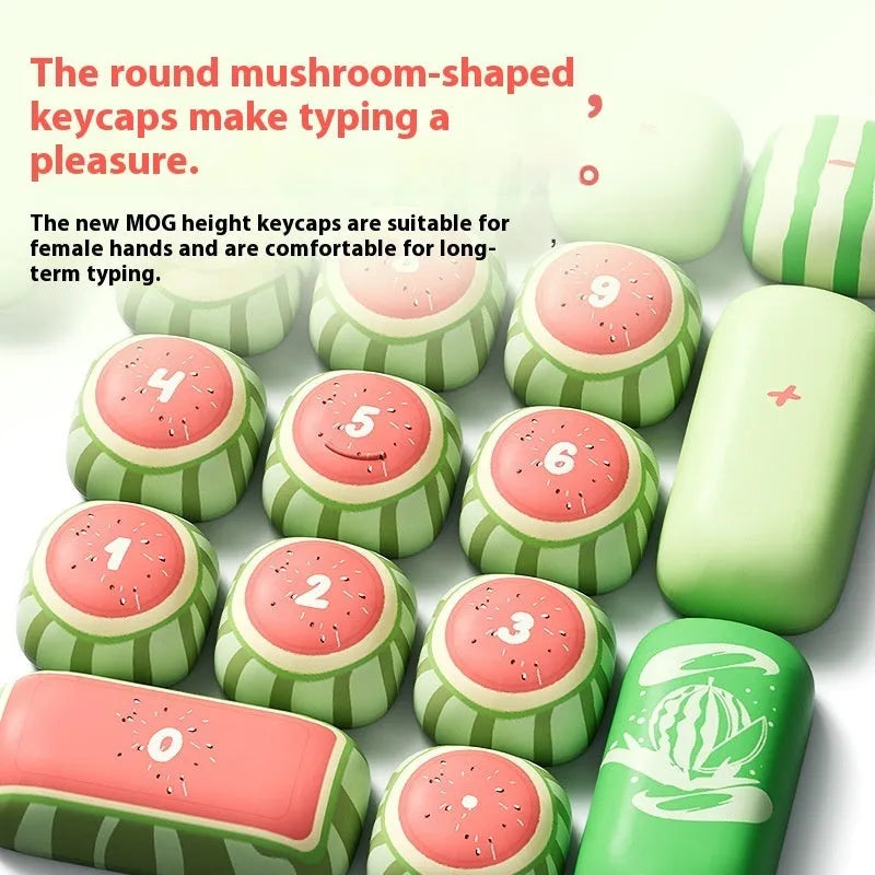 Watermelon theme blue colour mechanical keyboard keycaps with five-sided sublimation printing