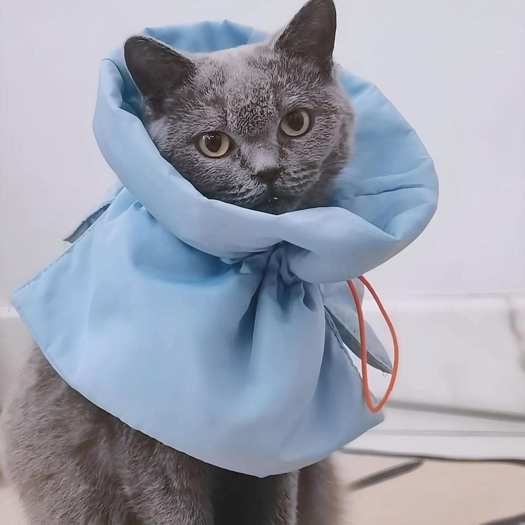 Soft adjustable Elizabethan recovery collar for cat or small dog in light blue.