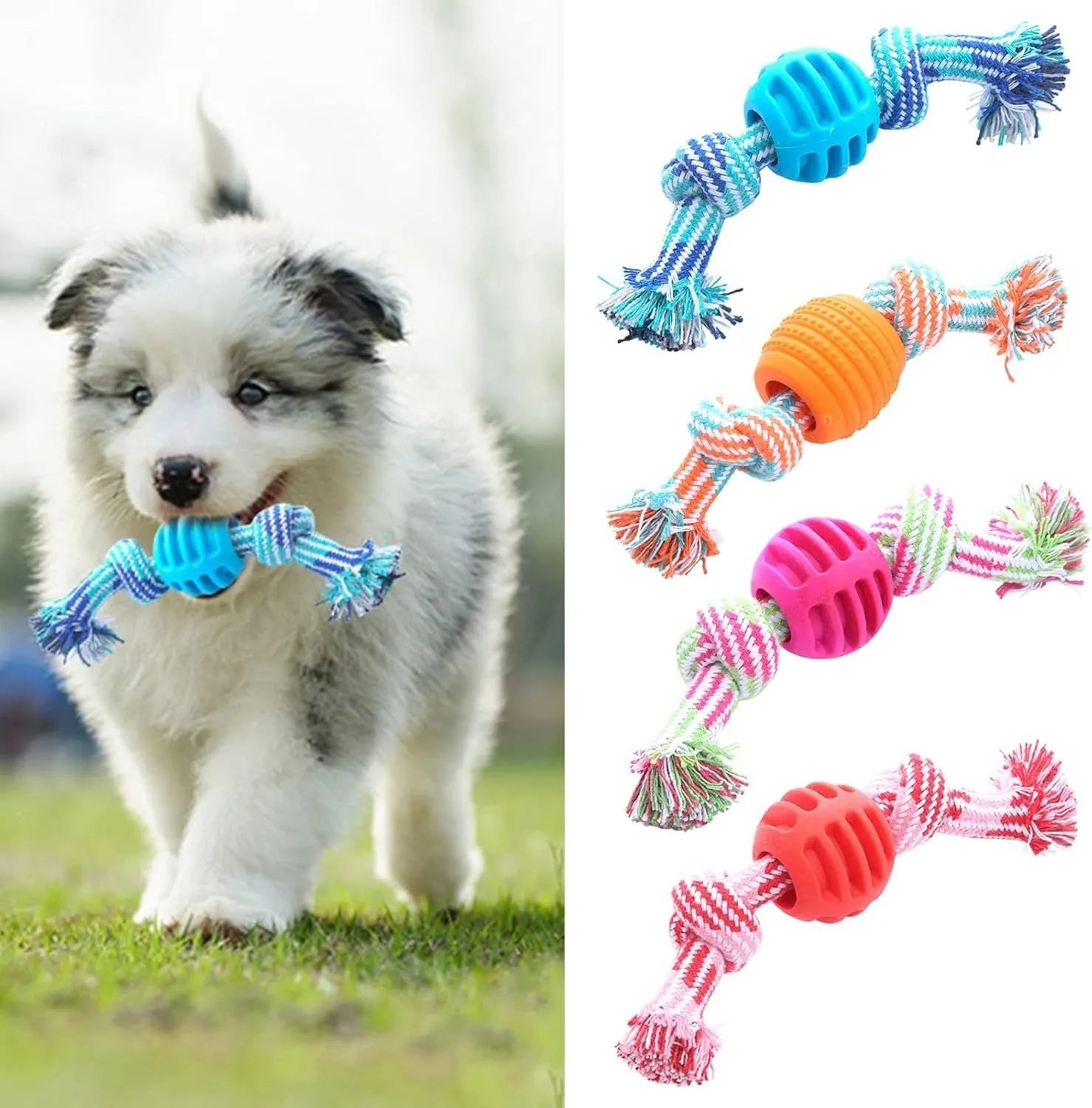 Blue dog chew toy with molar cleaning texture and integrated rope sections for dental health support