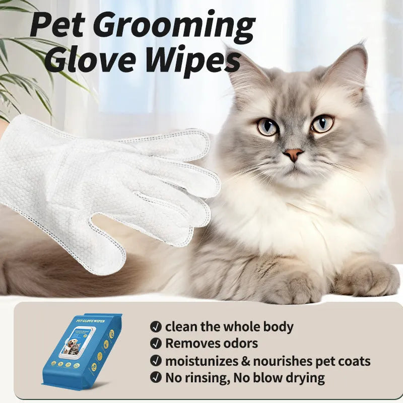 Pack of pet disposable gloves for cat bath cleaning with wash-free design