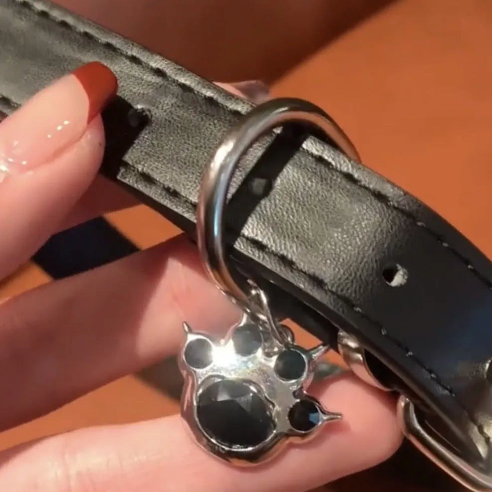 Black adjustable dog collar showing LD leather, bone, and cat paw design options.