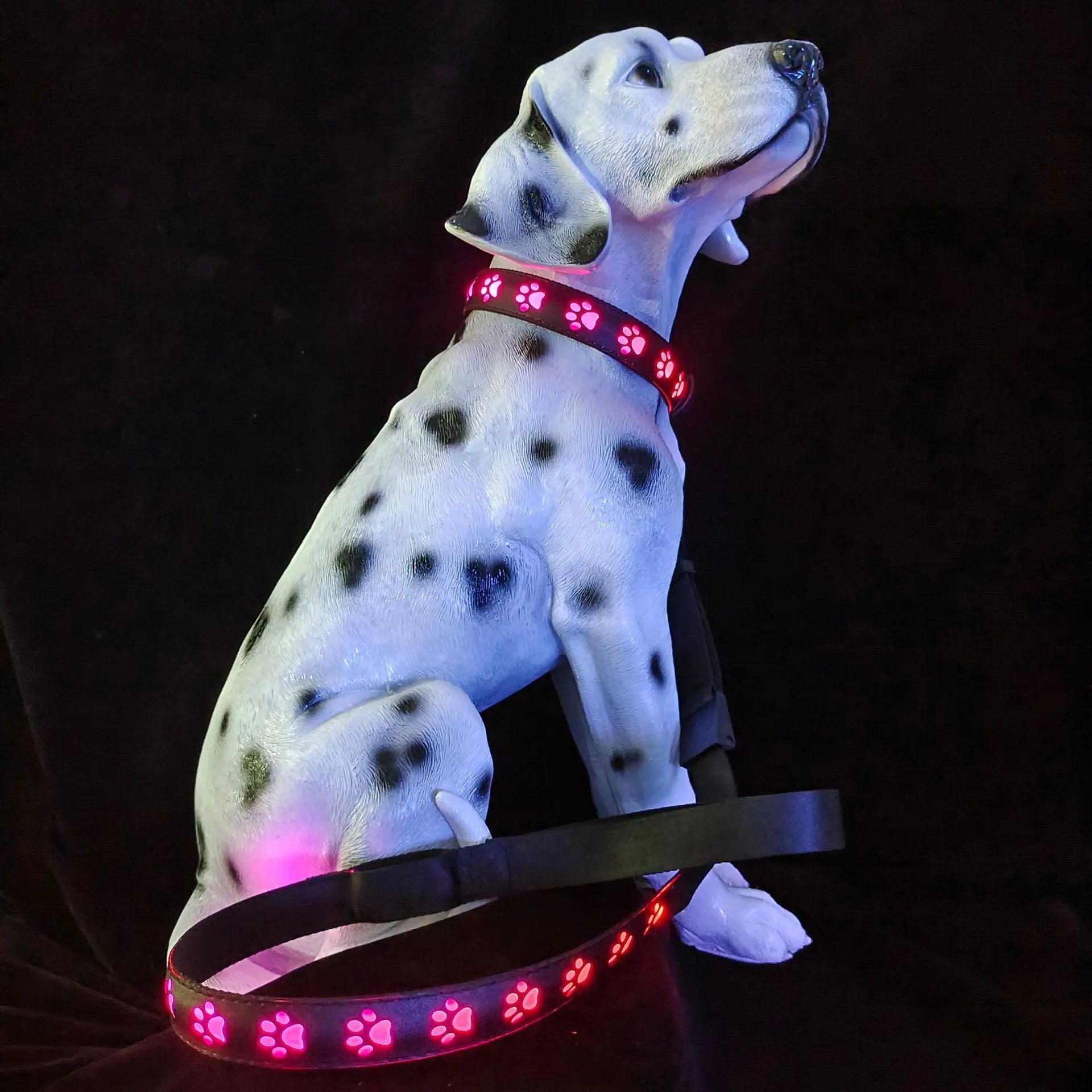 LED pet collar with paw print design showing seven colour modes and USB charging port