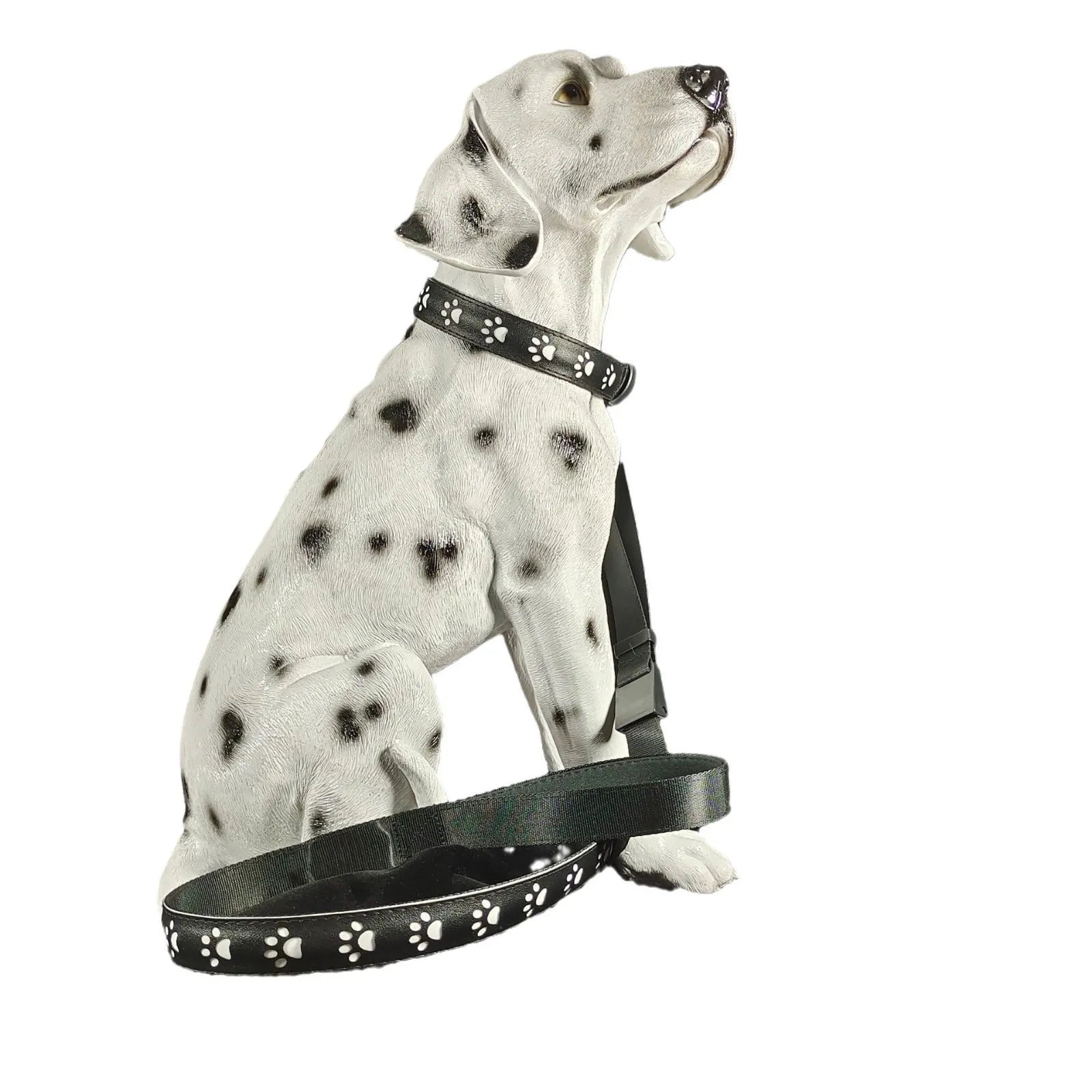 LED pet collar with paw print design showing seven colour modes and USB charging port