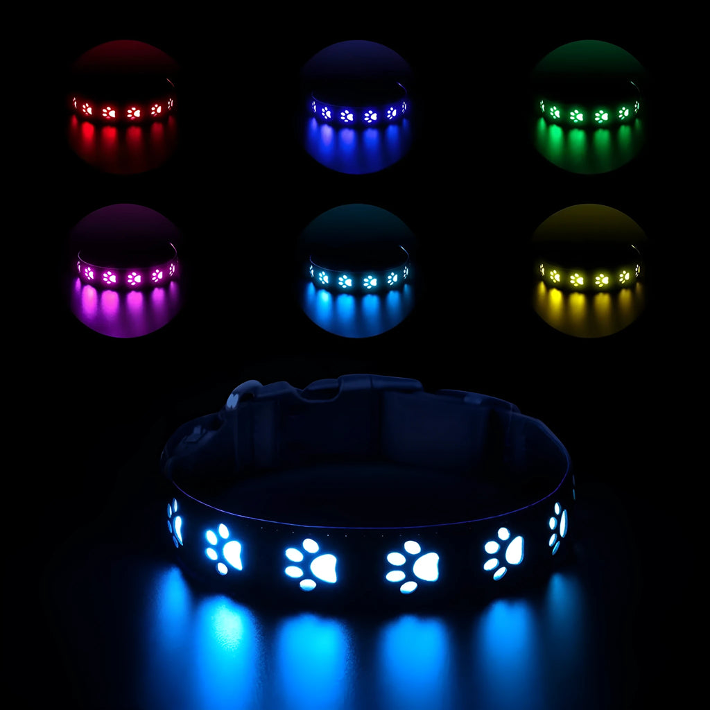 LED pet collar with paw print design showing seven colour modes and USB charging port