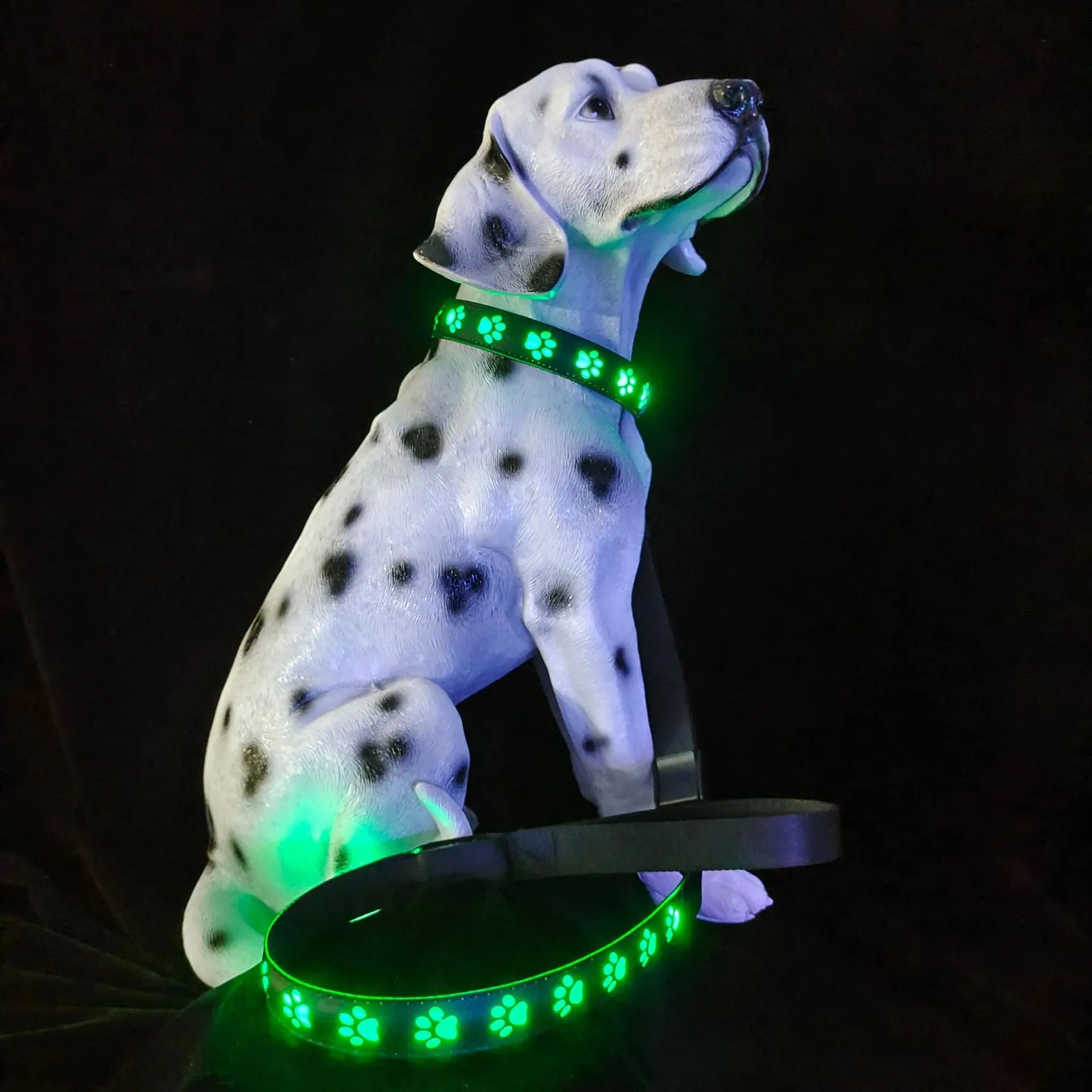 LED pet collar with paw print design showing seven colour modes and USB charging port