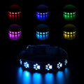 LED pet collar with paw print design showing seven colour modes and USB charging port