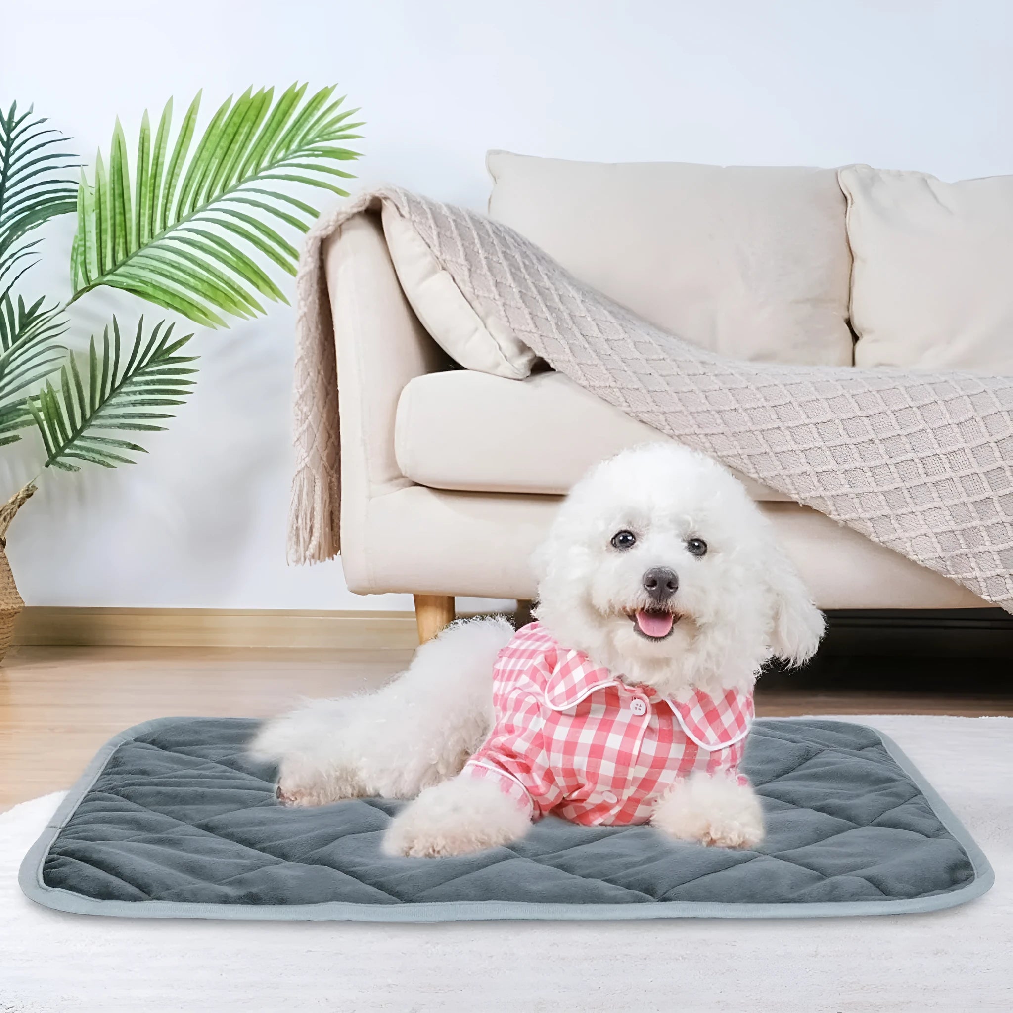 Grey cloth personalised pet cushion shown in four different sizes with a photo insert example.