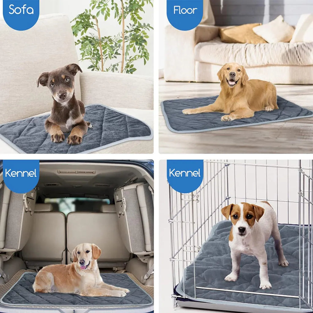 Grey cloth personalised pet cushion shown in four different sizes with a photo insert example.