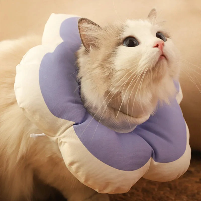 Soft cotton cat recovery collar in light blue with adjustable strap, shown on a table.
