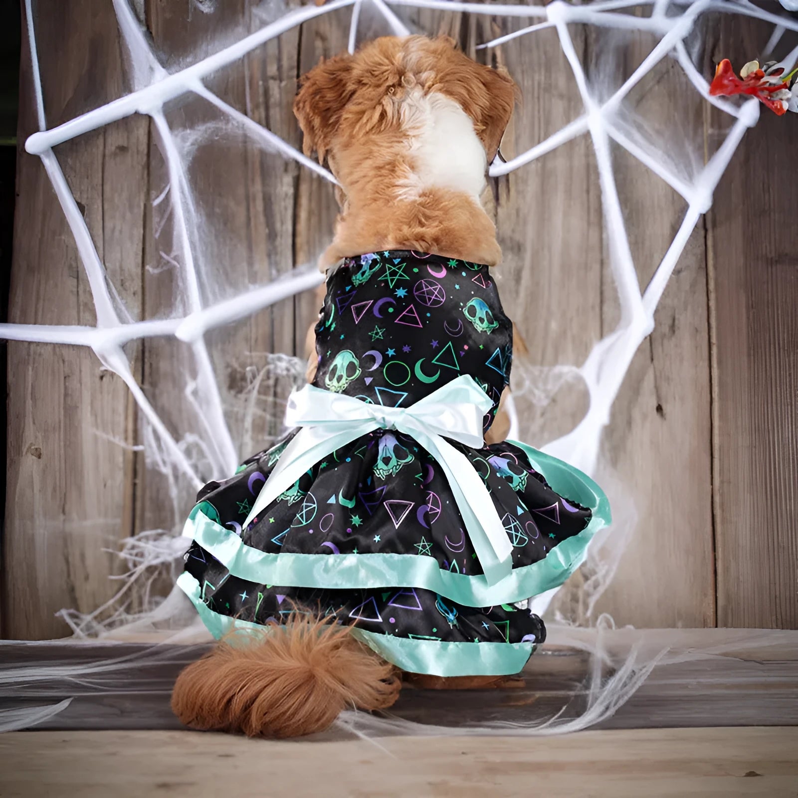 Halloween dog costume skirt in colourful pumpkin or skull patterns with double-layer construction