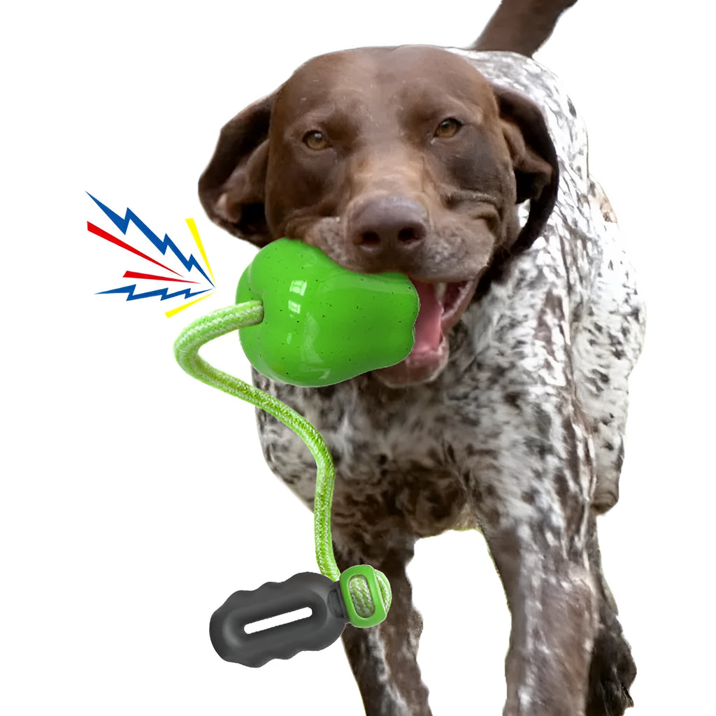 Green apple-shaped plastic dog toy with food dropping ball for interactive feeding and dental chewing