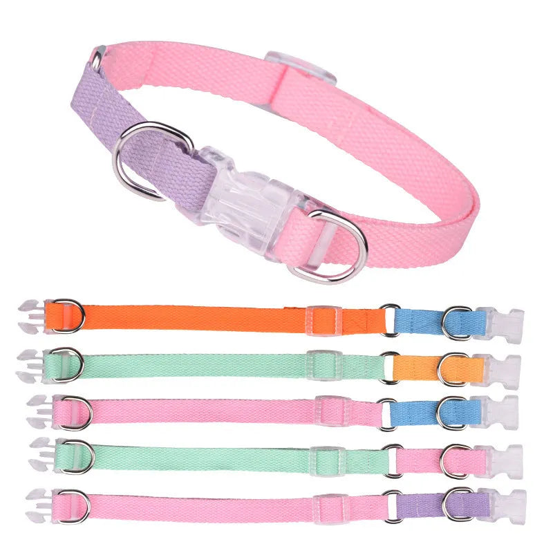 Polyester dog collar and leash set in green and pink colour combination showing collar, leash and chest strap