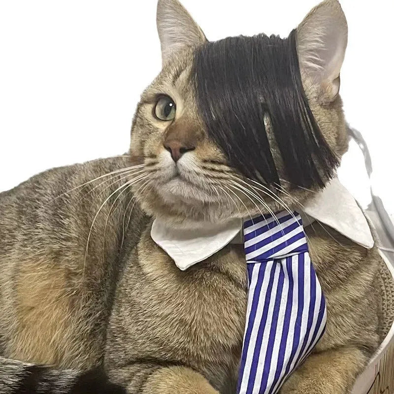 Black imitation braid cat wig made from polyester fabric for pet costumes