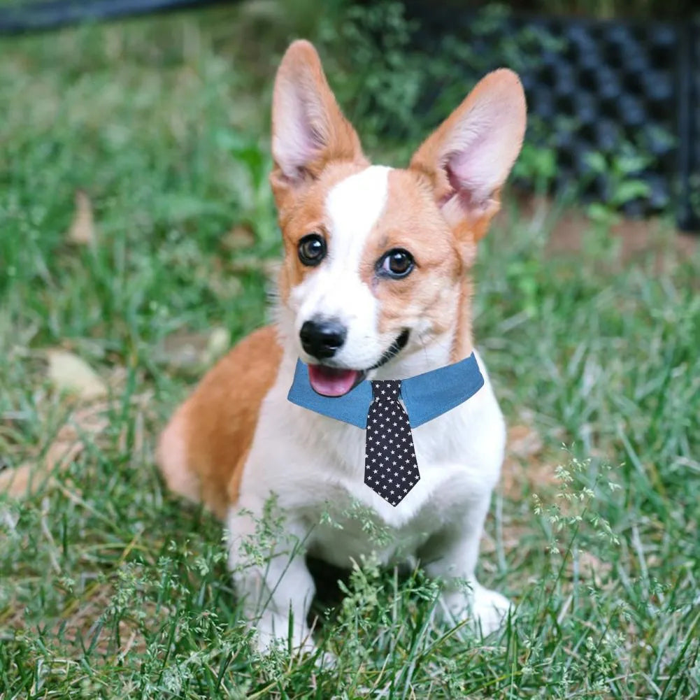 Denim dog collar with blue star pattern and red necktie on adjustable fastener tape.