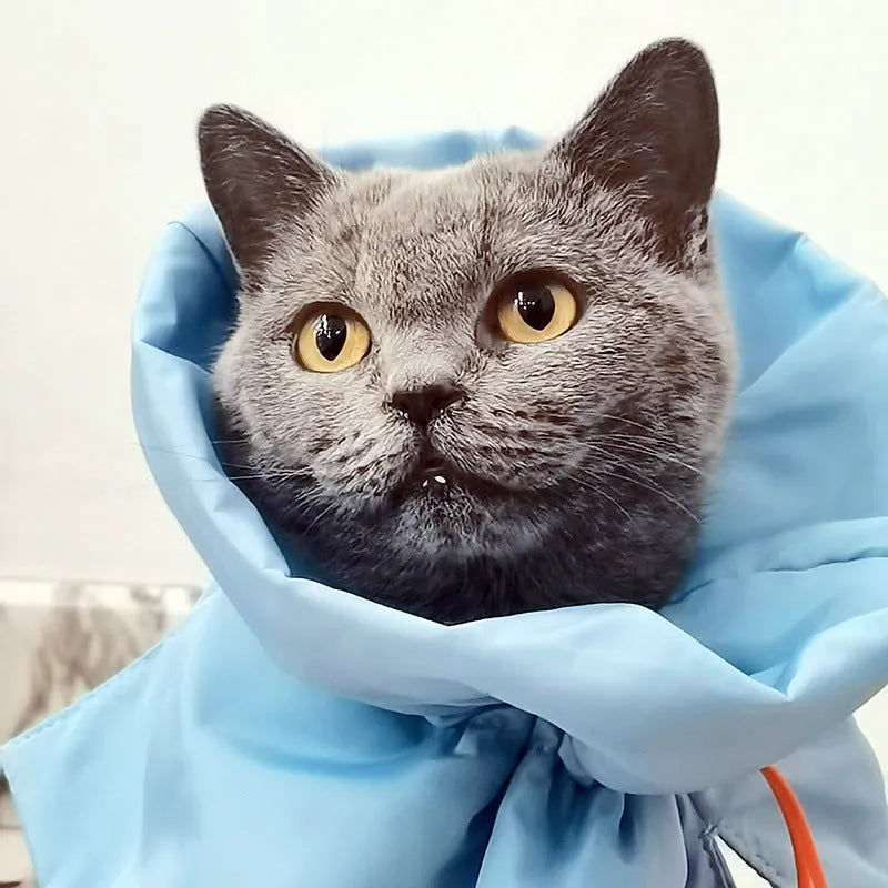 Soft adjustable Elizabethan recovery collar for cat or small dog in light blue.