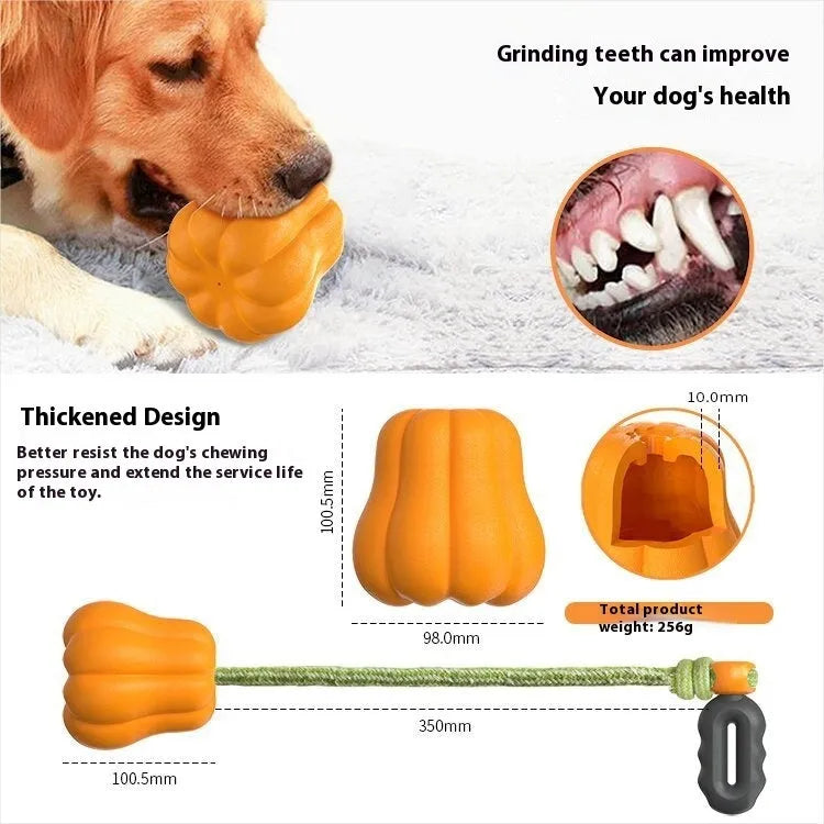 Pumpkin coloured plastic dog chew toy with a blue rope handle for tug and fetch.