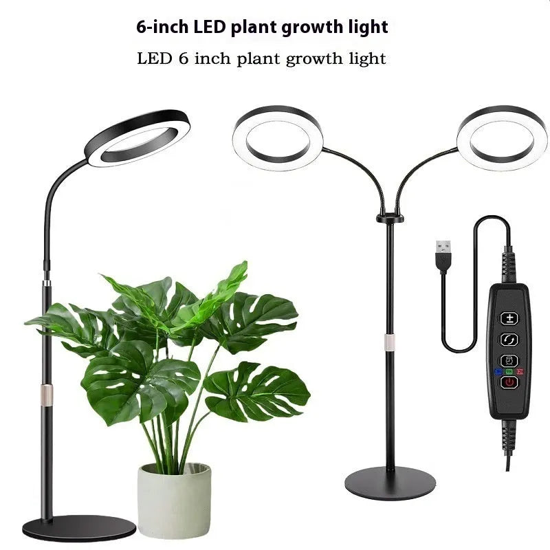 6-inch diameter Angel Ring LED plant grow light on a tall, retractable silver aluminium floor stand.