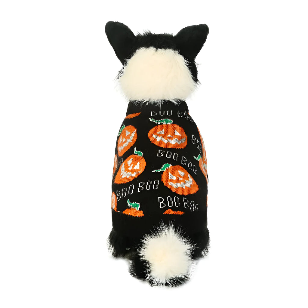 Black dog sweater with an orange Halloween pumpkin print on the back.