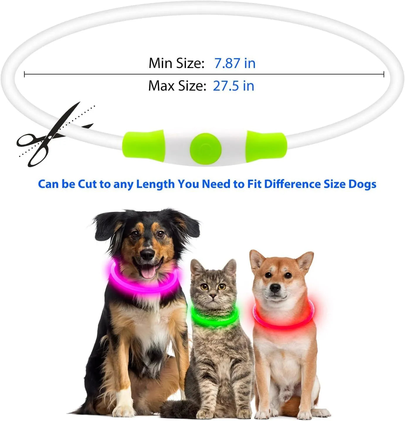 USB rechargeable LED dog collar with glowing light in blue colour, adjustable 70cm length
